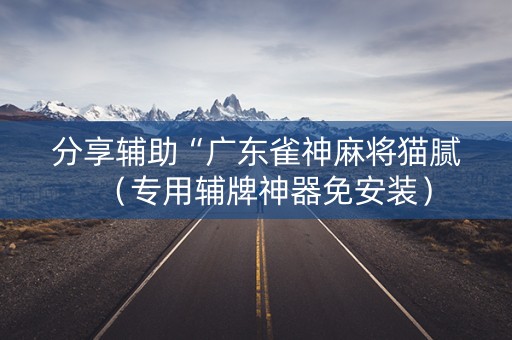 分享辅助“广东雀神麻将猫腻（专用辅牌神器免安装）