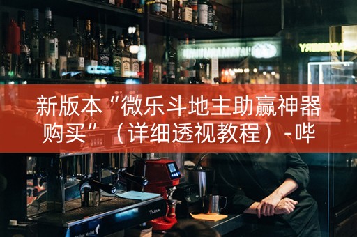 新版本“微乐斗地主助赢神器购买”（详细透视教程）-哔哩哔哩