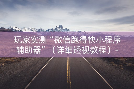 玩家实测“微信跑得快小程序辅助器”（详细透视教程）-哔哩哔哩