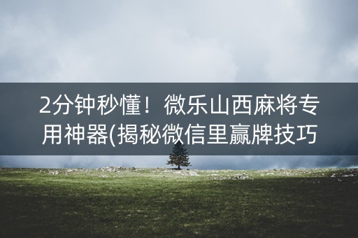 2分钟秒懂！微乐山西麻将专用神器(揭秘微信里赢牌技巧)