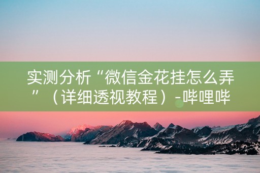 实测分析“微信金花挂怎么弄”（详细透视教程）-哔哩哔哩