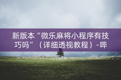 新版本“微乐麻将小程序有技巧吗”（详细透视教程）-哔哩哔哩