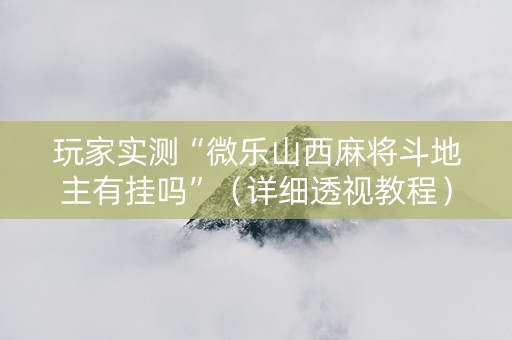 玩家实测“微乐山西麻将斗地主有挂吗”（详细透视教程）-哔哩哔哩