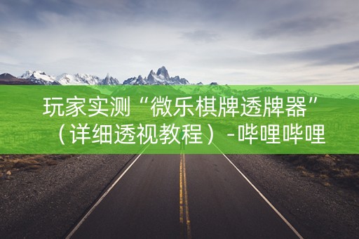 玩家实测“微乐棋牌透牌器”（详细透视教程）-哔哩哔哩