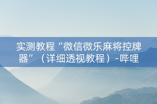 实测教程“微信微乐麻将控牌器”（详细透视教程）-哔哩哔哩