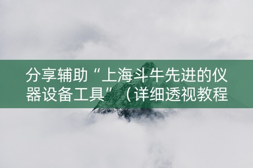 分享辅助“上海斗牛先进的仪器设备工具”（详细透视教程）-哔哩哔哩