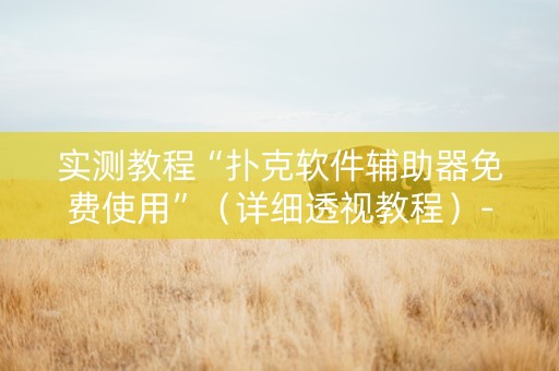 实测教程“扑克软件辅助器免费使用”（详细透视教程）-哔哩哔哩