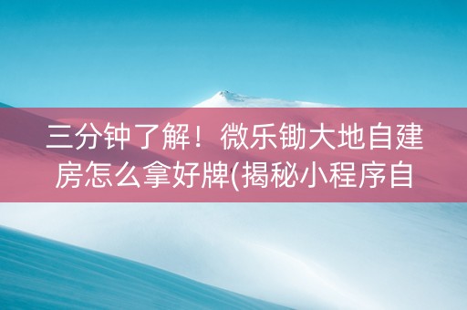 三分钟了解！微乐锄大地自建房怎么拿好牌(揭秘小程序自建房怎么赢)