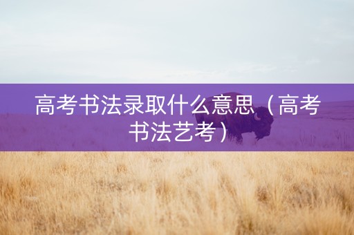 高考书法录取什么意思（高考书法艺考）