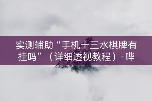 实测辅助“手机十三水棋牌有挂吗”（详细透视教程）-哔哩哔哩