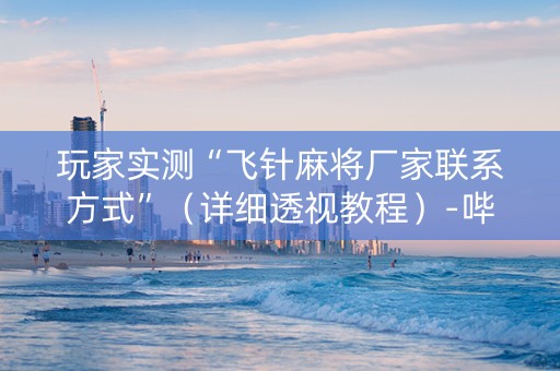 玩家实测“飞针麻将厂家联系方式”（详细透视教程）-哔哩哔哩