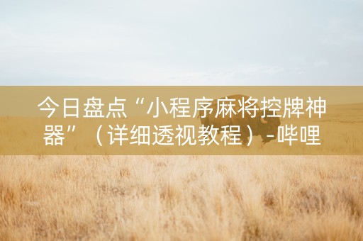 今日盘点“小程序麻将控牌神器”（详细透视教程）-哔哩哔哩