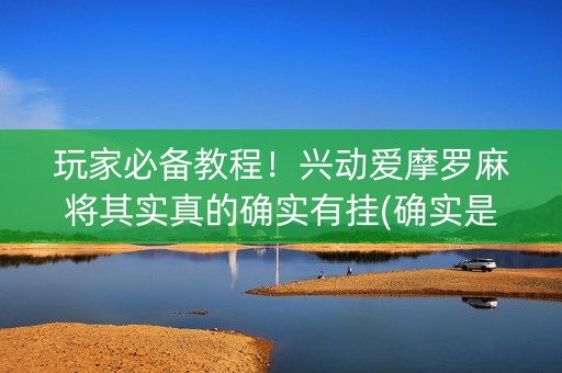 玩家必备教程！兴动爱摩罗麻将其实真的确实有挂(确实是有挂)