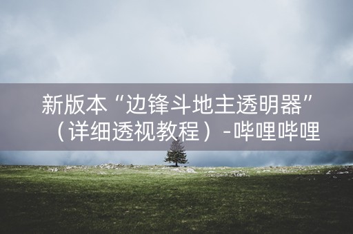 新版本“边锋斗地主透明器”（详细透视教程）-哔哩哔哩