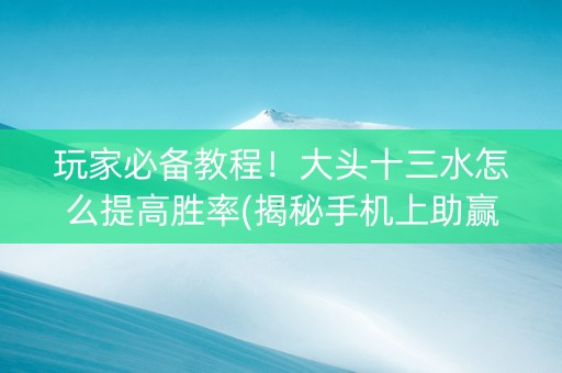 玩家必备教程！大头十三水怎么提高胜率(揭秘手机上助赢软件)