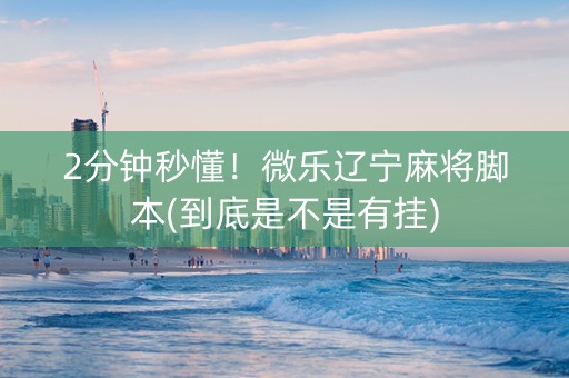 2分钟秒懂！微乐辽宁麻将脚本(到底是不是有挂)