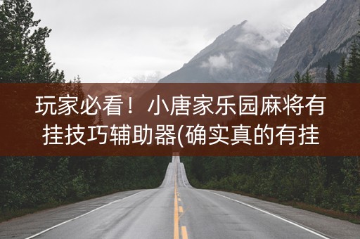 玩家必看！小唐家乐园麻将有挂技巧辅助器(确实真的有挂)
