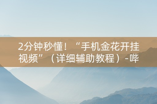2分钟秒懂！“手机金花开挂视频”（详细辅助教程）-哔哩哔哩