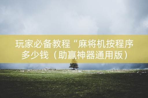 玩家必备教程“麻将机按程序多少钱（助赢神器通用版）