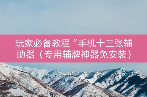 玩家必备教程“手机十三张辅助器（专用辅牌神器免安装）