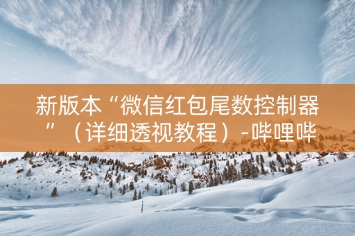 新版本“微信红包尾数控制器 ”（详细透视教程）-哔哩哔哩