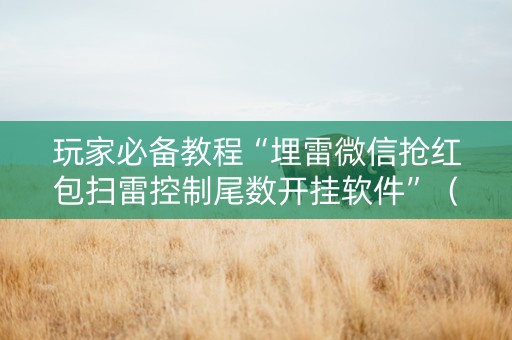 玩家必备教程“埋雷微信抢红包扫雷控制尾数开挂软件”（详细透视教程）-哔哩哔哩