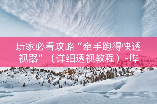 玩家必看攻略“牵手跑得快透视器”（详细透视教程）-哔哩哔哩