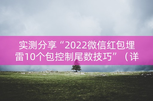 实测分享“2022微信红包埋雷10个包控制尾数技巧”（详细透视教程）-哔哩哔哩
