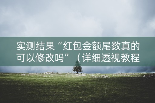 实测结果“红包金额尾数真的可以修改吗”（详细透视教程）-哔哩哔哩