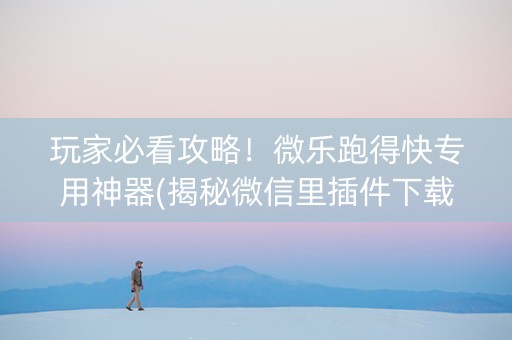 玩家必看攻略！微乐跑得快专用神器(揭秘微信里插件下载)