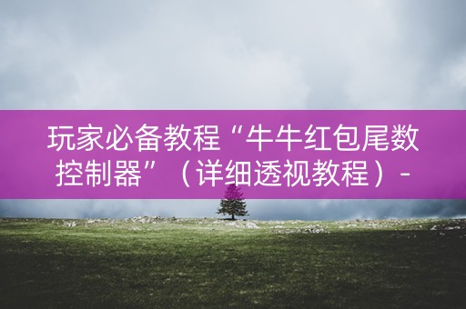 玩家必备教程“牛牛红包尾数控制器”（详细透视教程）-哔哩哔哩