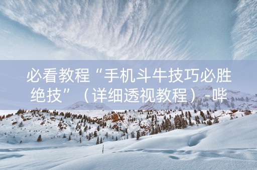 必看教程“手机斗牛技巧必胜绝技”（详细透视教程）-哔哩哔哩