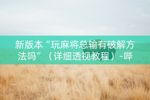新版本“玩麻将总输有破解方法吗”（详细透视教程）-哔哩哔哩