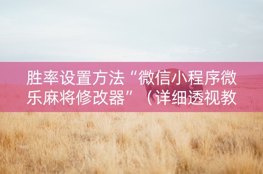 胜率设置方法“微信小程序微乐麻将修改器”（详细透视教程）-哔哩哔哩