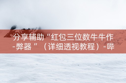 分享辅助“红包三位数牛牛作-弊器 ”（详细透视教程）-哔哩哔哩