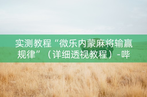 实测教程“微乐内蒙麻将输赢规律”（详细透视教程）-哔哩哔哩