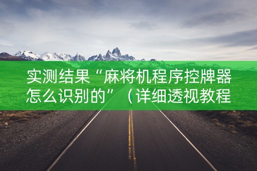 实测结果“麻将机程序控牌器怎么识别的”（详细透视教程）-哔哩哔哩