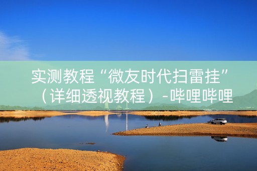 实测教程“微友时代扫雷挂”（详细透视教程）-哔哩哔哩