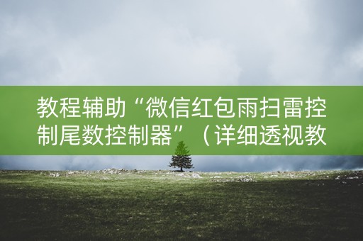教程辅助“微信红包雨扫雷控制尾数控制器”（详细透视教程）-哔哩哔哩