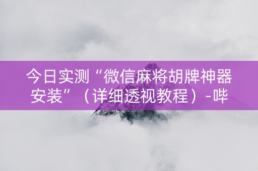 今日实测“微信麻将胡牌神器安装”（详细透视教程）-哔哩哔哩