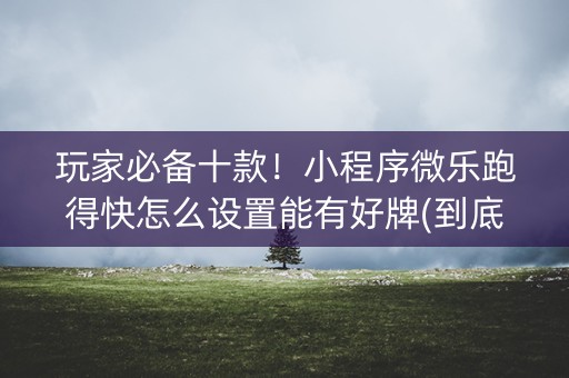 玩家必备十款！小程序微乐跑得快怎么设置能有好牌(到底能不能开挂)