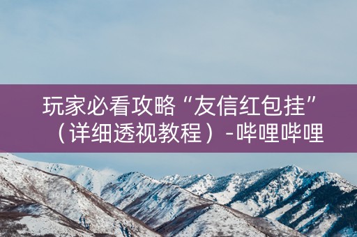 玩家必看攻略“友信红包挂”（详细透视教程）-哔哩哔哩