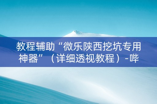教程辅助“微乐陕西挖坑专用神器”（详细透视教程）-哔哩哔哩