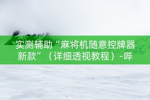 实测辅助“麻将机随意控牌器新款”（详细透视教程）-哔哩哔哩