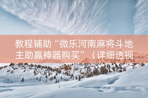 教程辅助“微乐河南麻将斗地主助赢神器购买”（详细透视教程）-哔哩哔哩