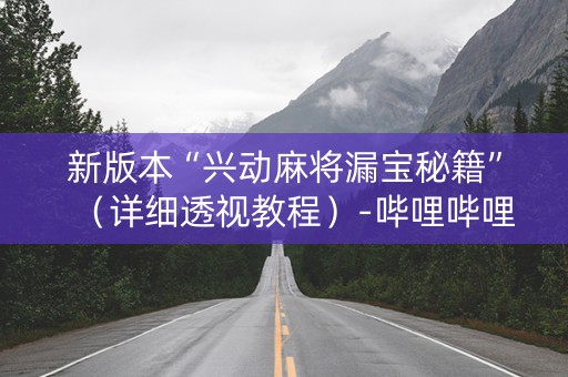 新版本“兴动麻将漏宝秘籍”（详细透视教程）-哔哩哔哩