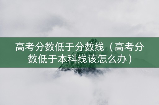 高考分数低于分数线（高考分数低于本科线该怎么办）