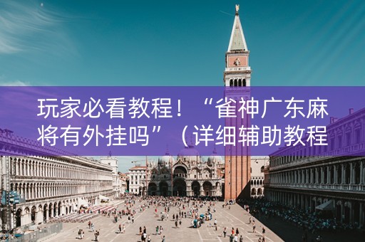 玩家必看教程！“雀神广东麻将有外挂吗”（详细辅助教程）-哔哩哔哩