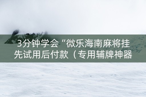 3分钟学会“微乐海南麻将挂先试用后付款（专用辅牌神器免安装）