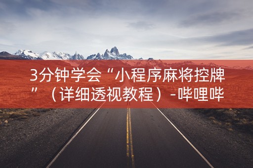 3分钟学会“小程序麻将控牌”（详细透视教程）-哔哩哔哩